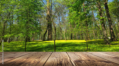 Spring background table.