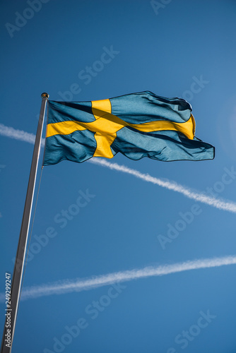 Obraz na plátně swedish flag