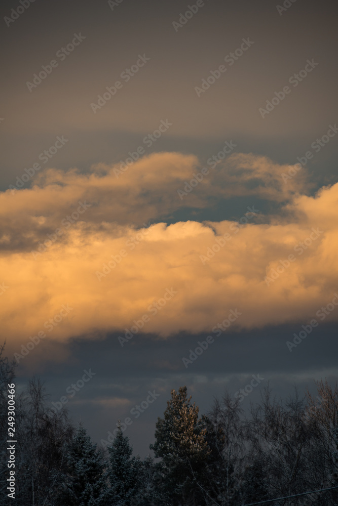 cloudy sunset over forrest