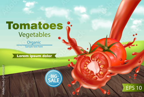 Tomatoes slice splash Vector realistic. Green eco background. Detailed 3d ban...