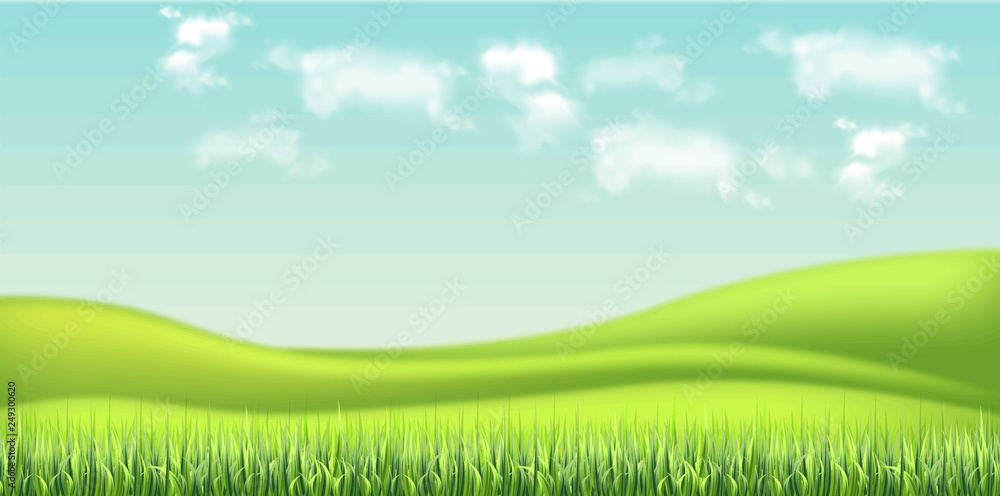 Green field and sky background Vector realistic. detailed 3d illustrations