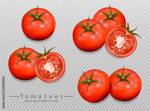 Tomatoes isolated Vector realistic. Detailed 3d illustration template for lab...