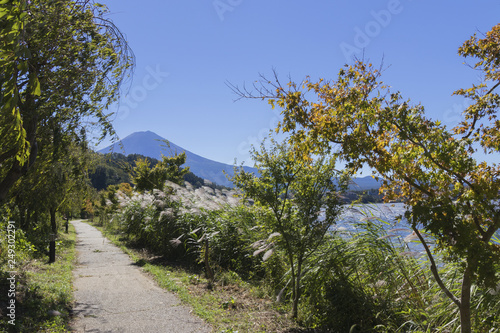 A road around Kawaguchi lake with Mt Fuji view
