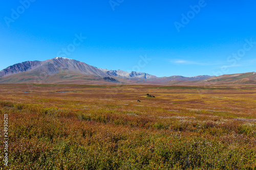 Autumn steppe and mountains in the distance