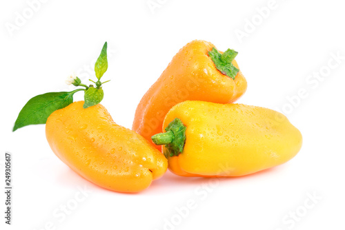 Paprika Snacky Orange