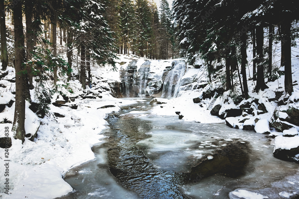 Fototapeta premium river in winter