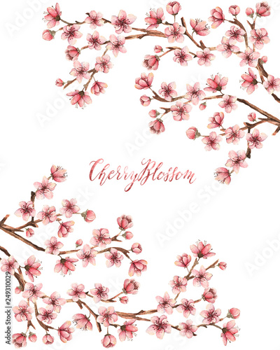 Cherry blossom spring flowers watercolor illustration branches  flowers card for you handmade