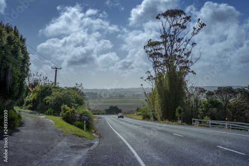 Road. Pukenui crossroad New Zealand. Northland photo