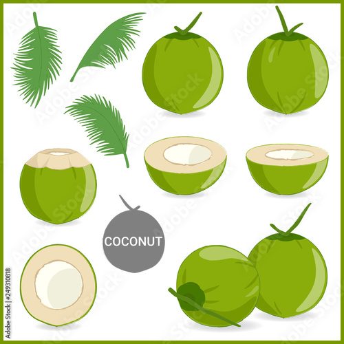 Set of fresh young coconut in vector format and various style