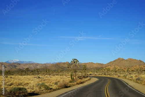 A road through Joshua Tree National Park with Quali Mountain top seen at the distance © notsunami