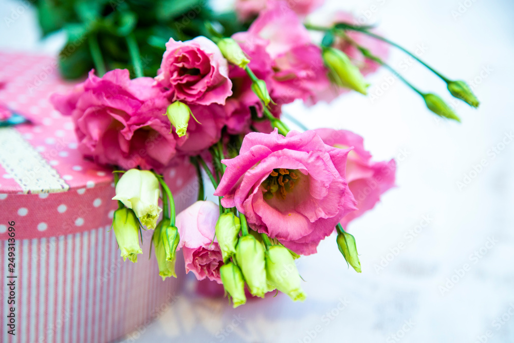 Fototapeta premium pink eustoma (Texas bluebell, tulip gentian) lies on the gift box on a light background