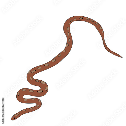 vector, isolated, snake, on a white background, flat style snakes
