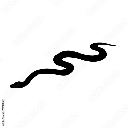 vector, isolated, snake silhouette
