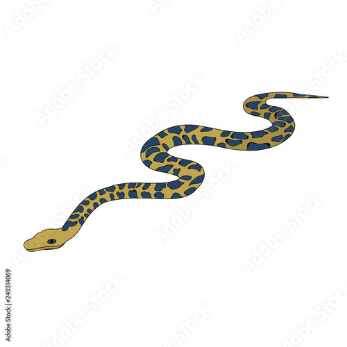  isolated, snake, on a white background, flat style snakes