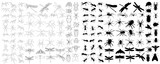 vector isolated set of insect silhouettes