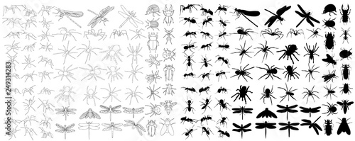 vector isolated set of insect silhouettes photo