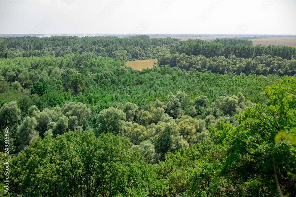 Naklejka premium Steppe with forest and river