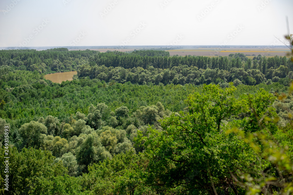 Steppe with forest and river