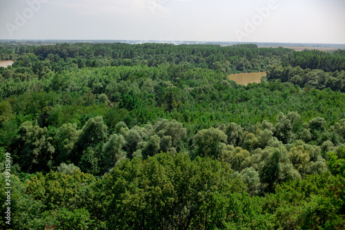 Steppe with forest and river © Seva_001