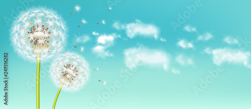 Naklejka Wiosna dandelion kwiat Wektor realistyczny. Ilustracje tła bokeh miękkie niebo