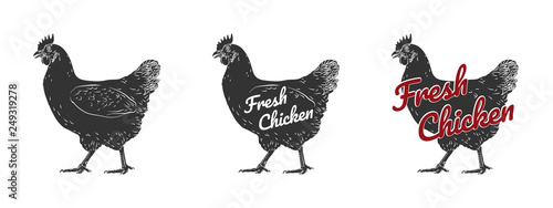 Chicken hen fresh, roster isolated vector logo, white back. For shop,  farm, butcher, poultry. Illustration. Label, sign, emblem, symbol, mascot. Set of logotypes.  photo