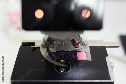 Microscope