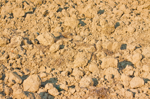 Detail of an arid plowed field
