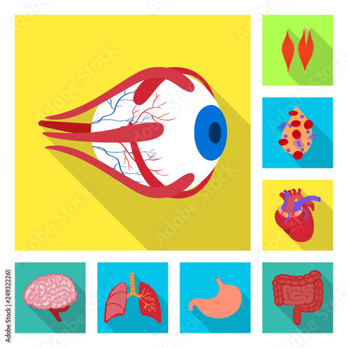 Isolated object of human and health symbol. Collection of human and scientific vector icon for stock.