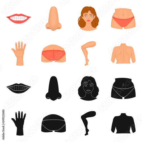 Isolated object of body and part icon. Collection of body and anatomy vector icon for stock.