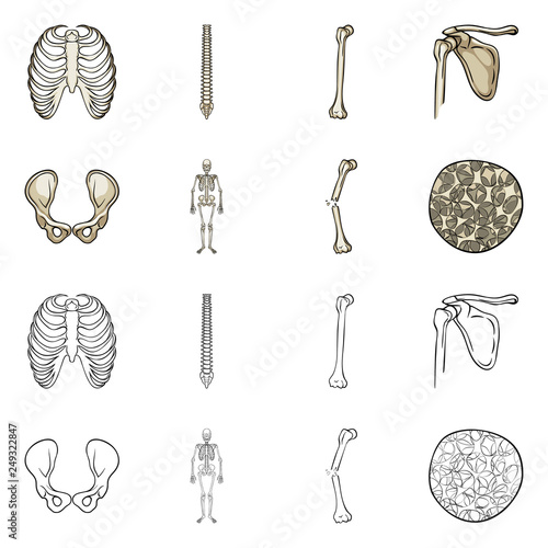 Isolated object of medicine and clinic symbol. Set of medicine and medical stock symbol for web.