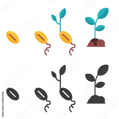 Plant growth stages from seed to sprout. Colored and monochrome icons of organic plants growing process and planting phases. Green spring flower grow cultivating steps in flat style.