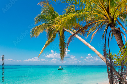Fototapeta Naklejka Na Ścianę i Meble -  Boat Caribbean Sea palm tree 
