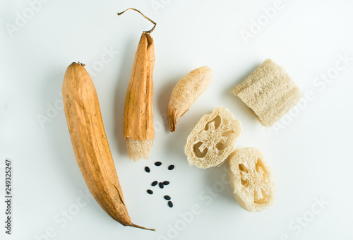 luffa sponges for zero waste washing and cleaning