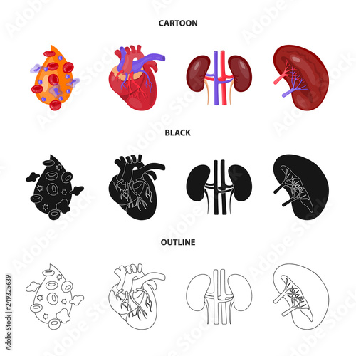 Vector illustration of biology and scientific symbol. Set of biology and laboratory stock symbol for web.