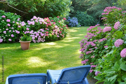 Fototapeta Naklejka Na Ścianę i Meble -  Beautiful garden with hydrangeas in Brittany