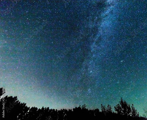 Starry sky and the milky way over the trees.