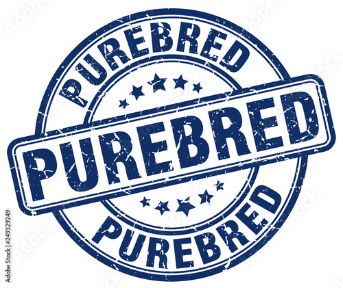 purebred blue grunge round vintage rubber stamp