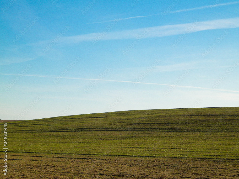 Green field on a background of blue sky