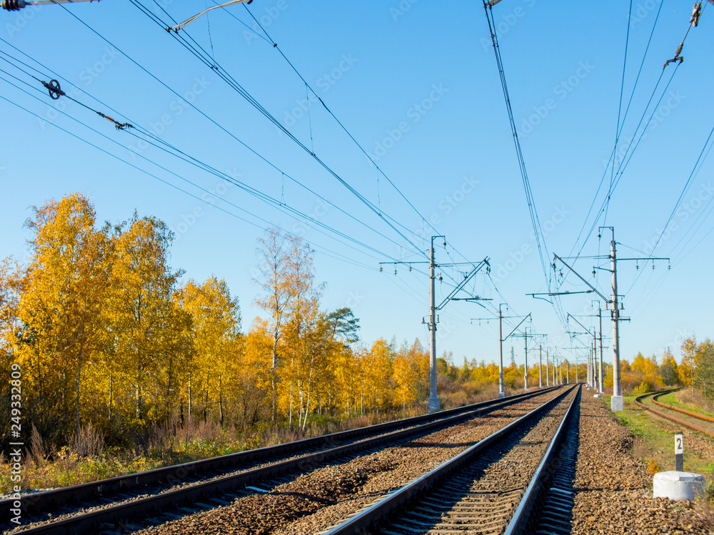 Railway between yellow and green tree Railway between yellow and green tree