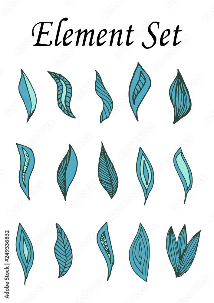 Fototapeta premium set elements blue leaves