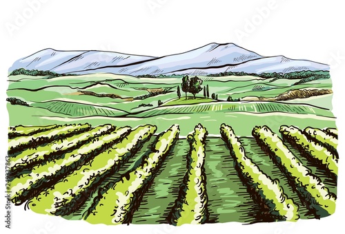 color landscape of the Italian province of Tuscany