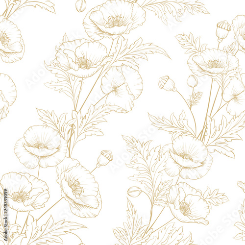 Pattern of golden poppy flowers on a white background. Vector illustration.