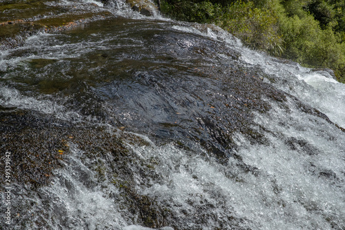 Te Urewera National park. New Zealand. Waterfall