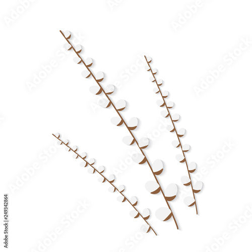 willow branches- vector illustration
