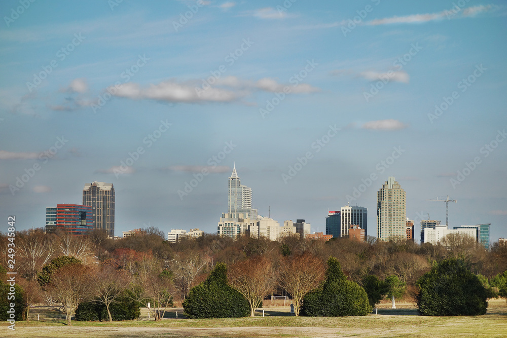 Downtown Raleigh skyline from Dix park