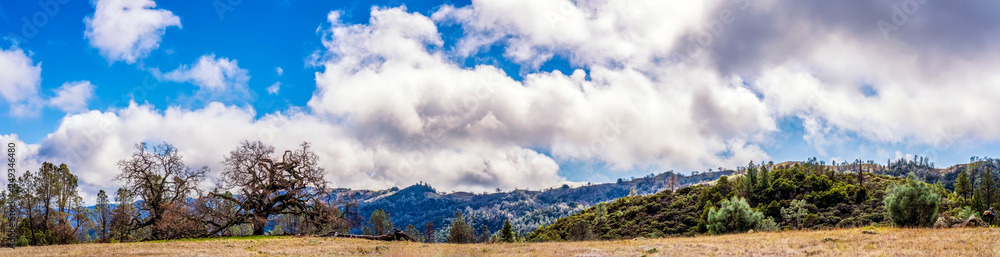 Cloudy Day in Mountain Meadow panorama Cloudy Day in Mountain Meadow panorama