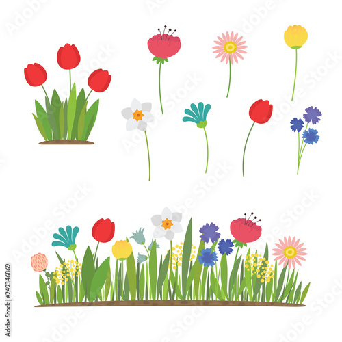 Spring flowers growing in the garden. Tulips, daffodils and other flowers