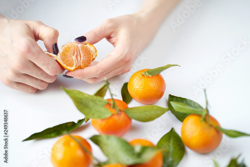 Women's hands cleaning tangerine. Orange fresh tangerines with green leaves lie on a white background.