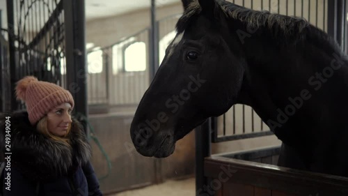 Horse Head Close-up Eating.Woman Feeding Beautiful Horse.Woman Touching Horse In Farm Stall.Horse Eating Carrot From Hands Owner Close up.Horse Head Close-up Eating Apple Hay.Girl Feeding Black Horse.