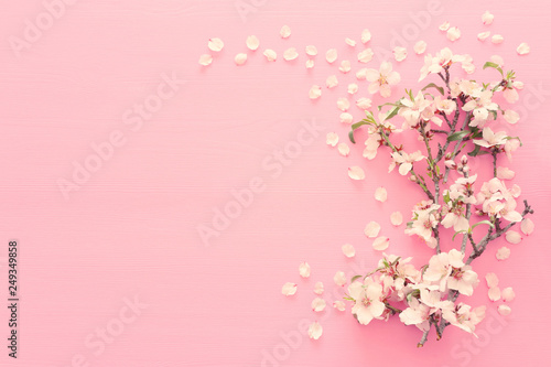 photo of spring white cherry blossom tree on pastel pink wooden background. View from above, flat lay © tomertu